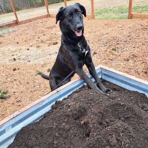 Fundraising Page: Jordan Gustine